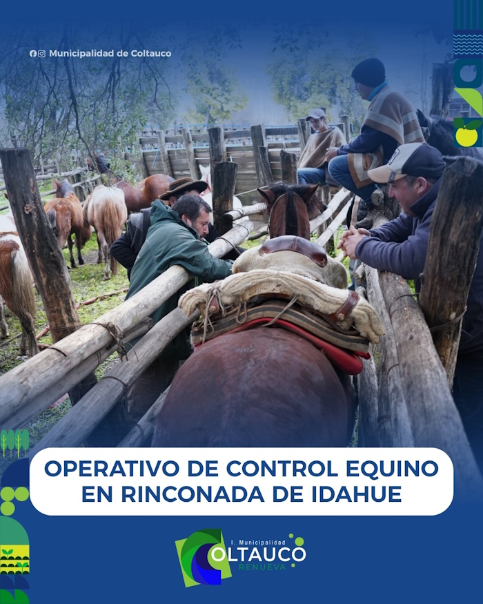 ¡Gran noticia para nuestros crianceros de Coltauco!